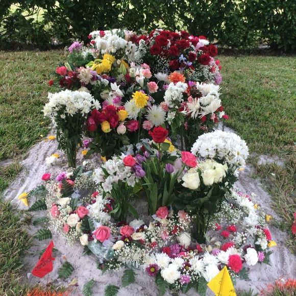 Meet your Posher, Abraham - Picture 1 of 1